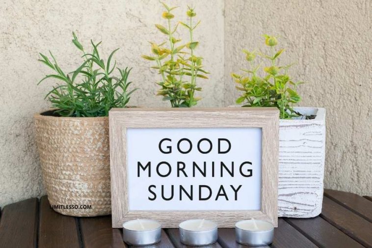 Good Morning Sunday Quotes